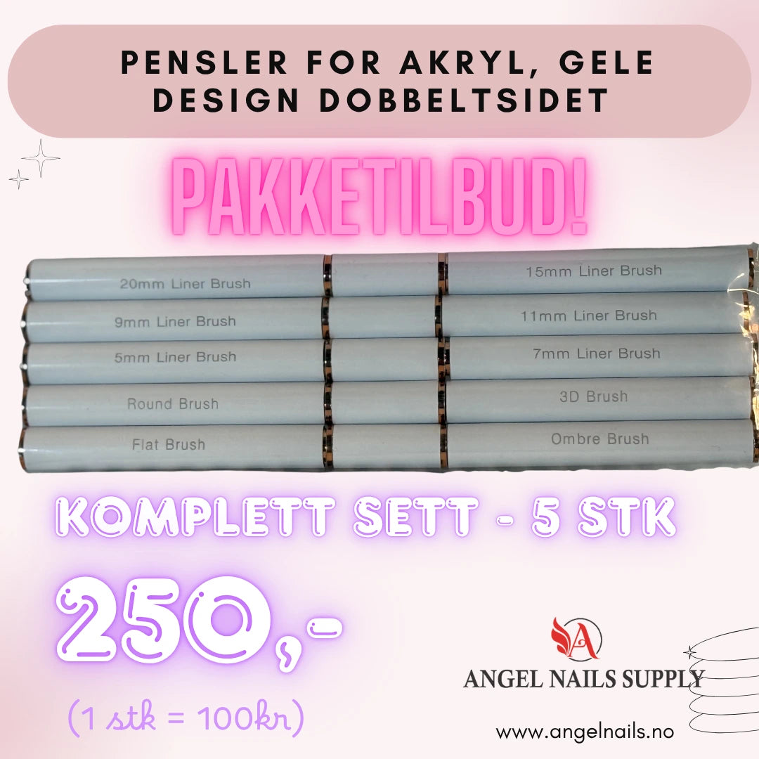 Design Pensel dobbeltsidet komplett sett 5 pensler - Nail art brush kit