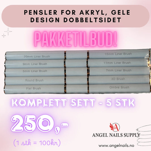 Design Pensel dobbeltsidet komplett sett 5 pensler - Nail art brush kit